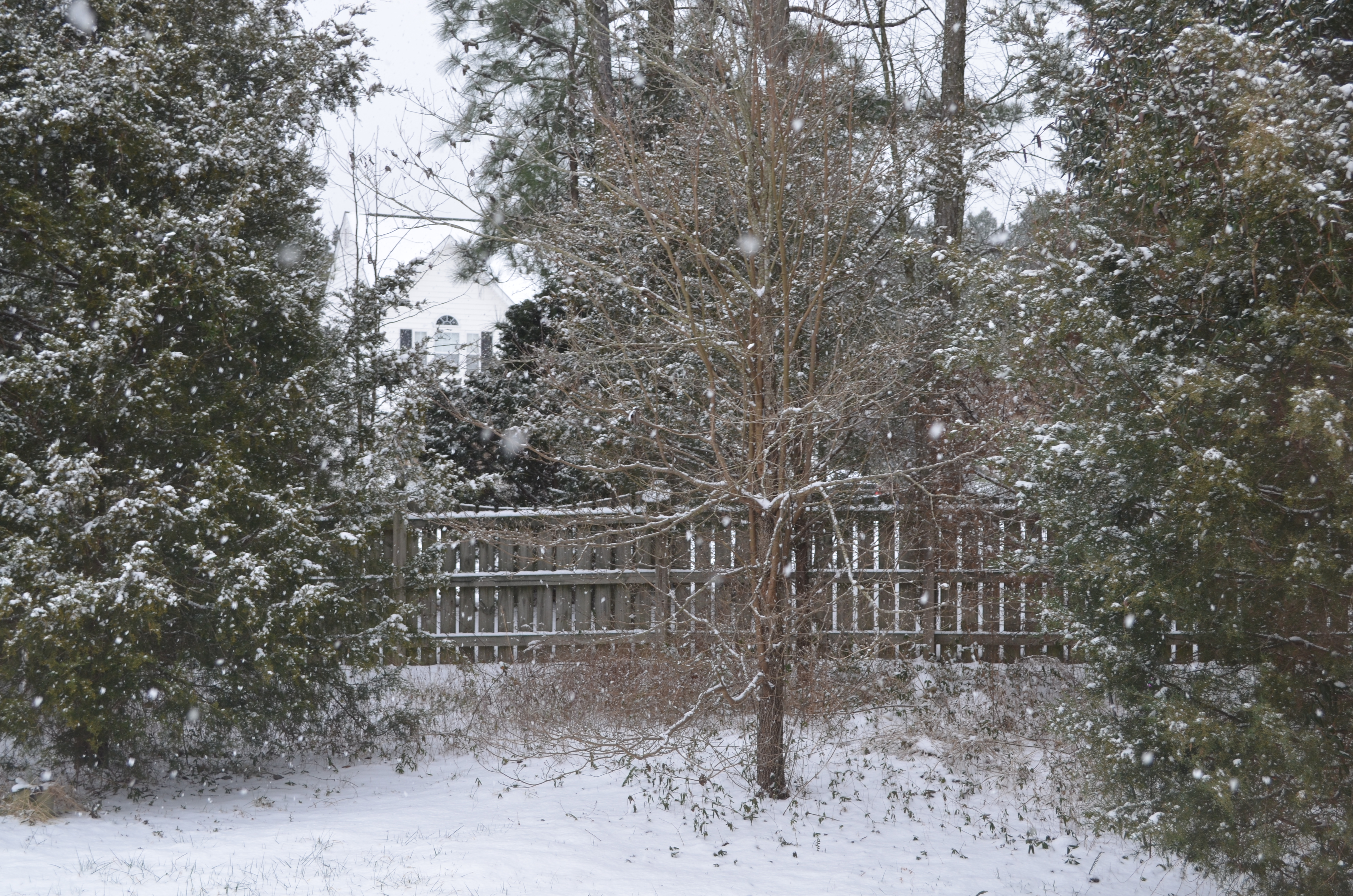 ./2015/03 - Snow/DSC_0400.JPG